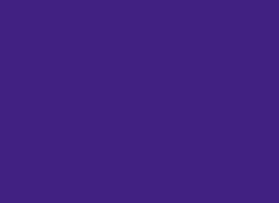 RTH Photo Booths - Photo Background - Solid Purple